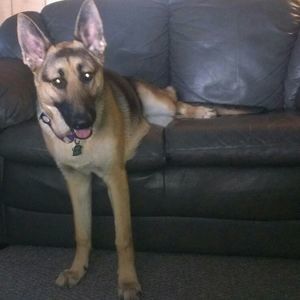 Meet your Posher, Nancy